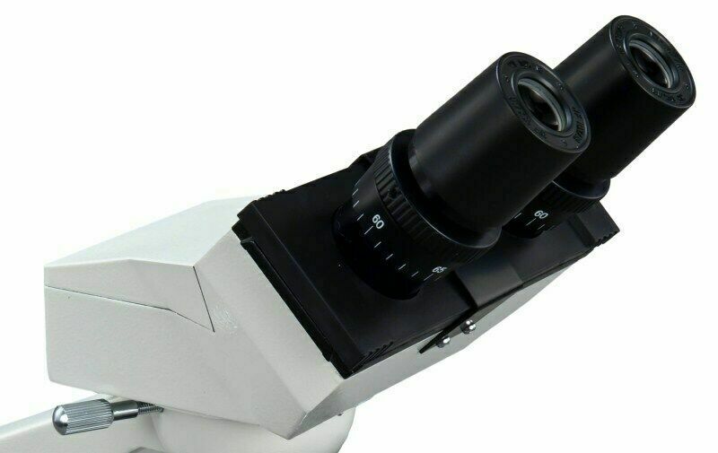 Oculares vista laterals-l1600