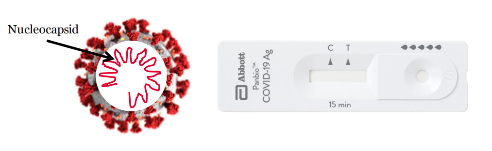 Panbio Abbott Nucleocapside